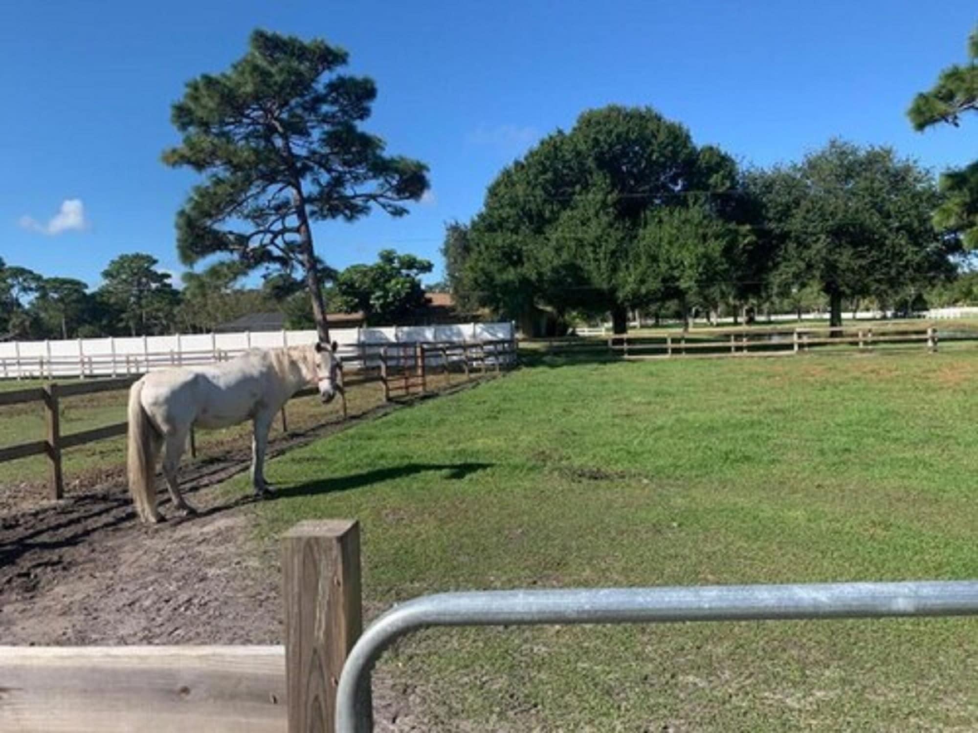 Hotel Oyo Family Ranch At Melbourne Fl Zewnętrze zdjęcie